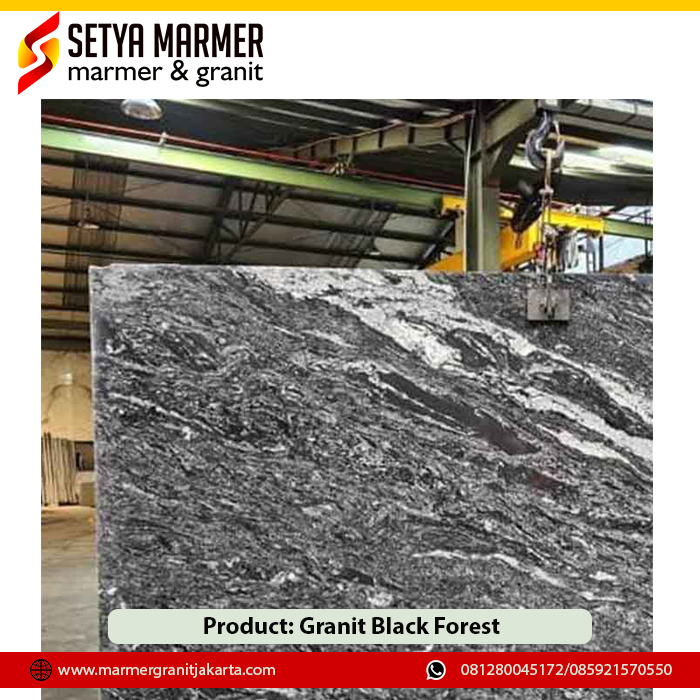 Granit Black Forest 1 Granit murah Jakarta