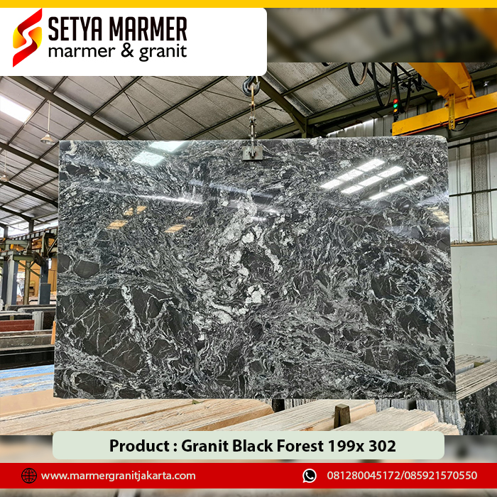 granit black forest 199x 302sd Granit Murah Jakarta